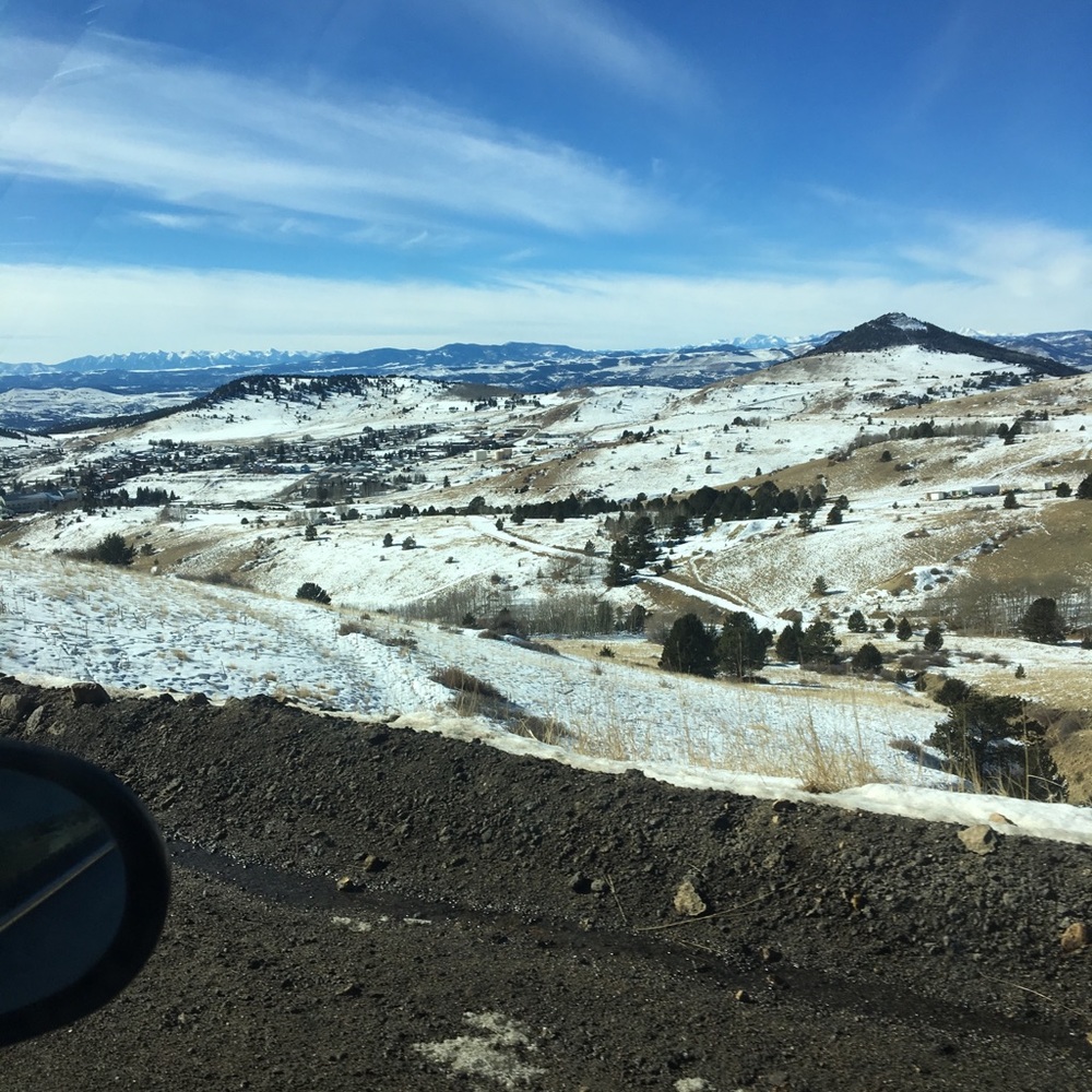 Meet your Posher, Dawn